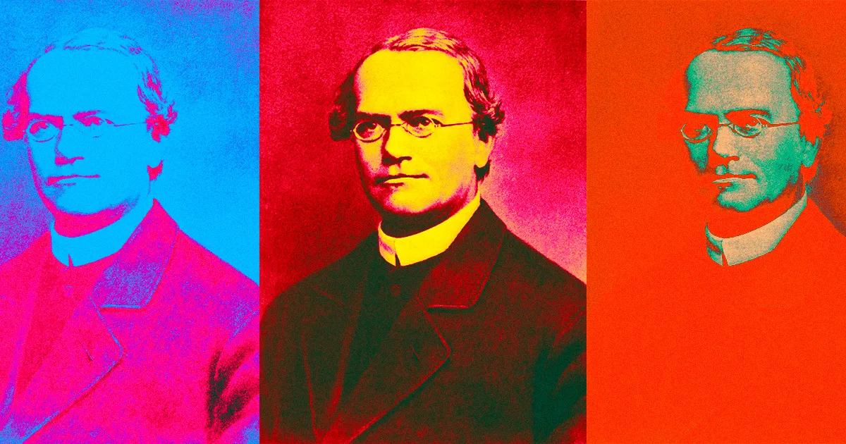 Les Scientifiques Estiment Que Gregor Mendel Approuverait L'Exhumation de Son Corps pour Étudier Ses Gènes