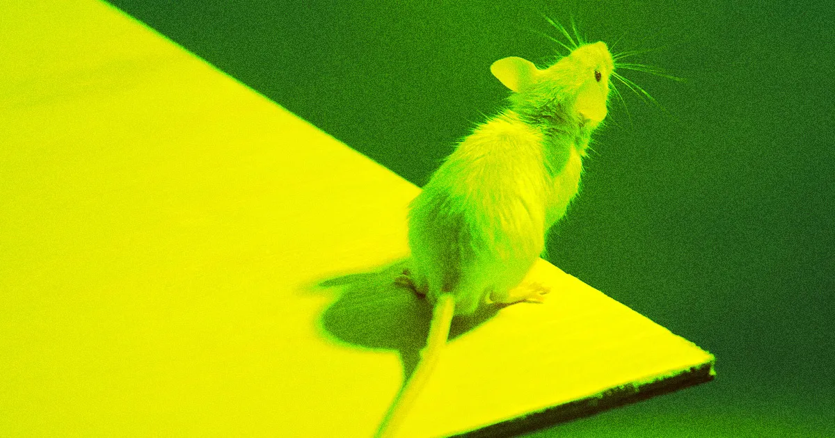 Les autorités perquisitionnent un laboratoire clandestin rempli de maladies infectieuses.