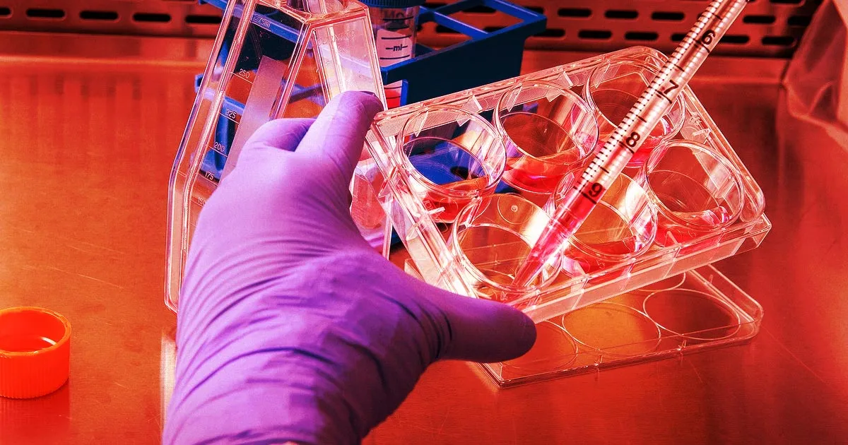 Propagation de la variole simienne : un spécialiste de l'OMS alerte sur le rôle des rapports sexuels