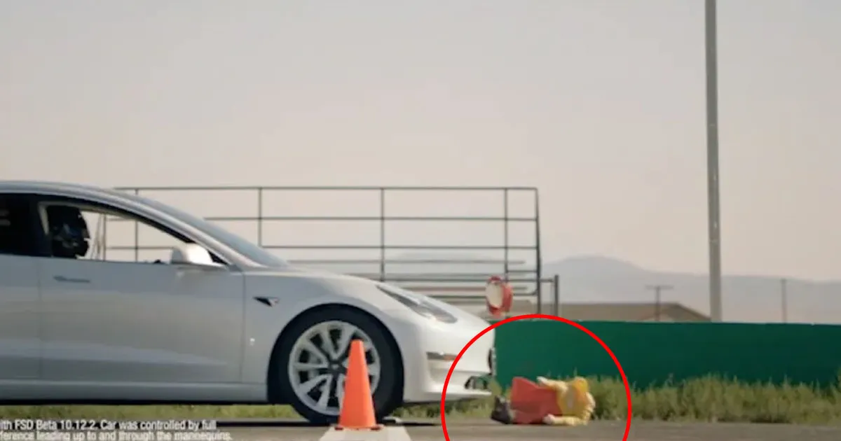 Regardez Ces Vidéos Que Tesla Souhaite Voir Effacées !