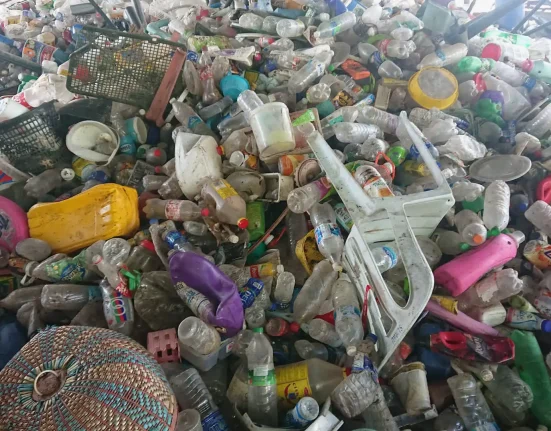 Révolution Technologique : Une Nouvelle Solution Innovante Pour Transformer les Déchets Courants