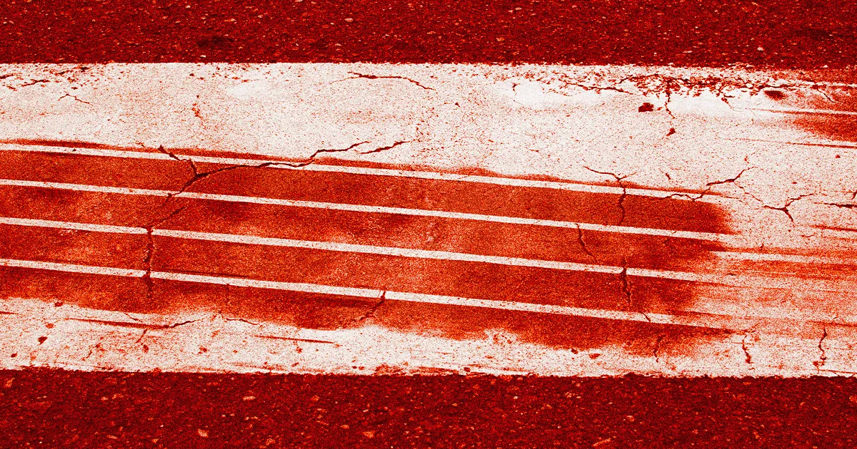 Un Conducteur de Tesla Poursuit la Marque, Affirmant que Son Véhicule a Agi de Manière Autonome et l'a Conduit à l'Accident