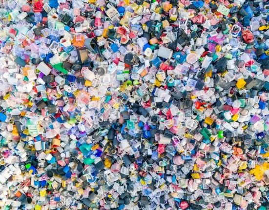 Une Alliance Innovante pour Redonner Vie aux Déchets Communes