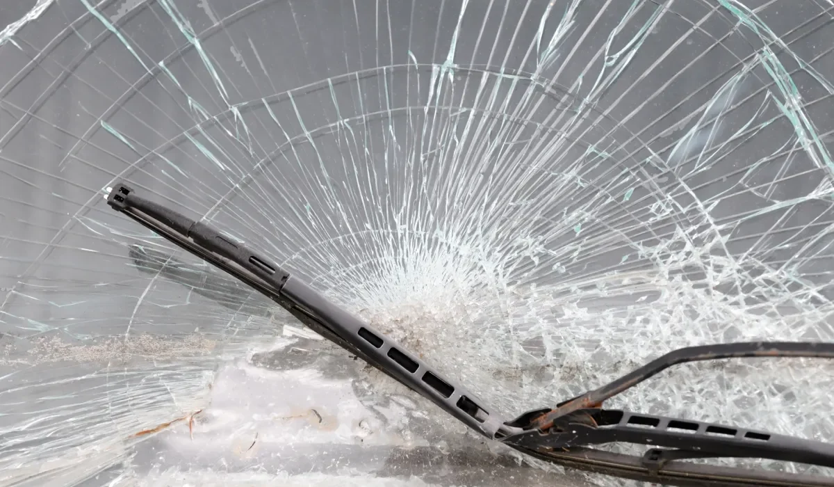 Une Conductrice de Tesla dénonce un Accrochage avec un Arbre en Mode Autonome