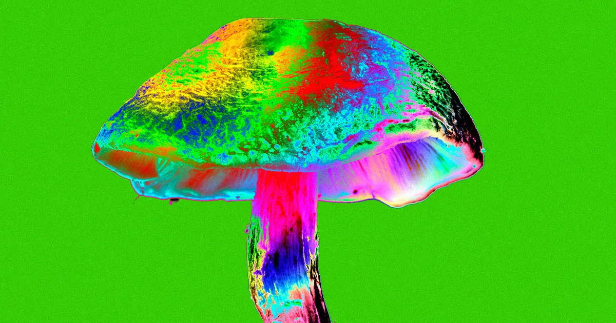 Une Seule Prise de Psilocybine Soulage la Dépression Résistante au Traitement dans une Étude