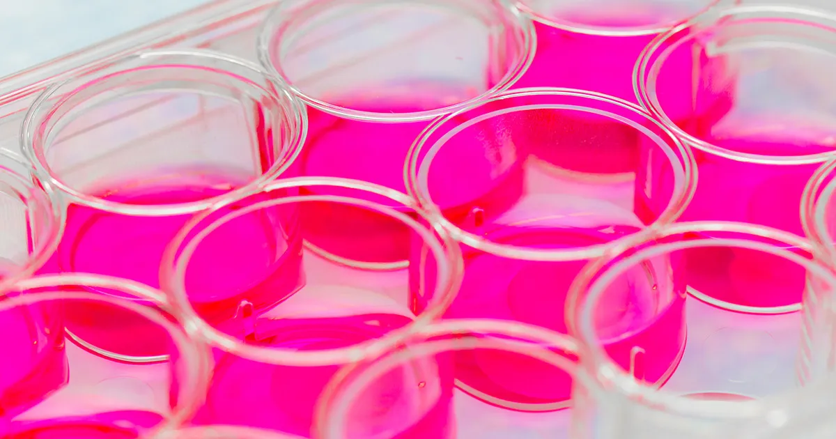 Chercheur en oncologie condamné pour vol d'échantillons biologiques.