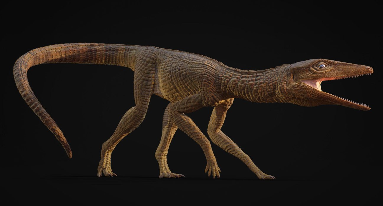 Découverte d'un Crocodile Ancien aux Longs Jambes, Ramené à la Vie il y a 200 Millions d'Années.