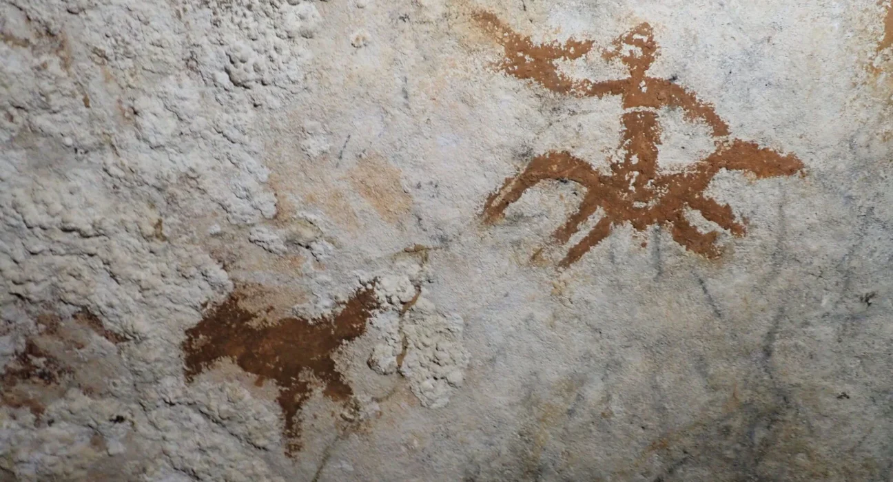 « Découverte en Indonésie : l'art rupestre le plus ancien du monde, âgé de 67 800 ans »