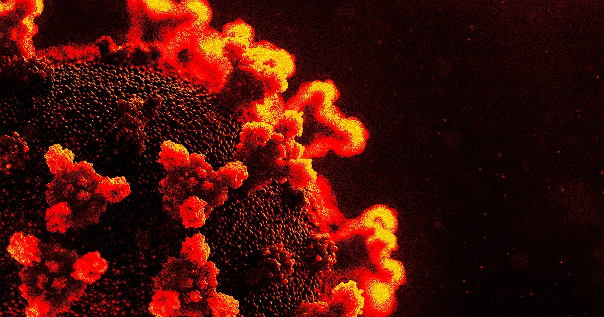 Découvrez BV-1, la Nouvelle Variante COVID Qui Fait Frémir.