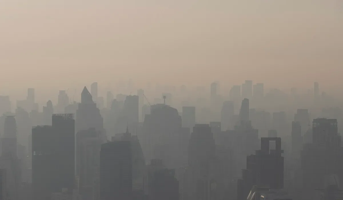 Des Scientifiques Cochent le Sommet Climatique de Dubaï.