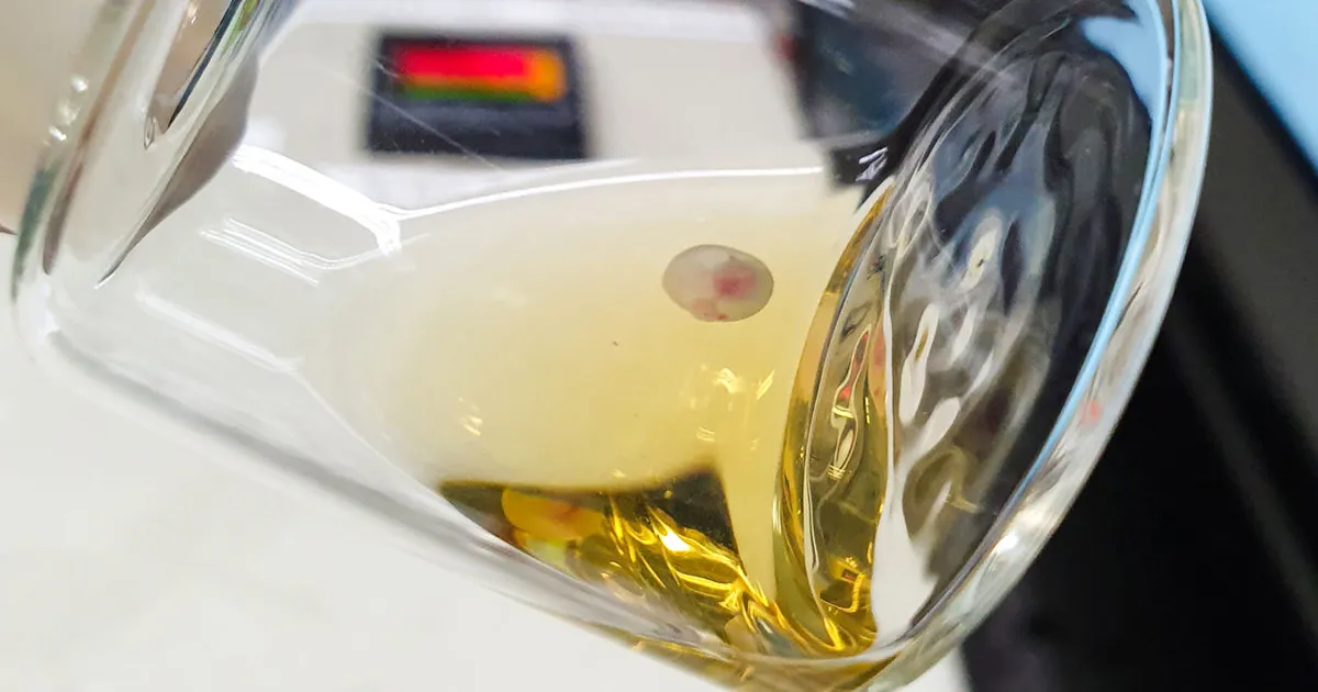 Des chercheurs cultivent des embryons de souris dans un utérus artificiel.