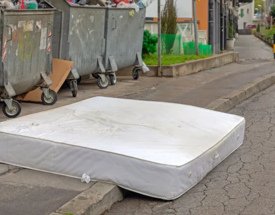 Des chercheurs révèlent comment les champignons peuvent transformer les vieux matelas en ressources utiles