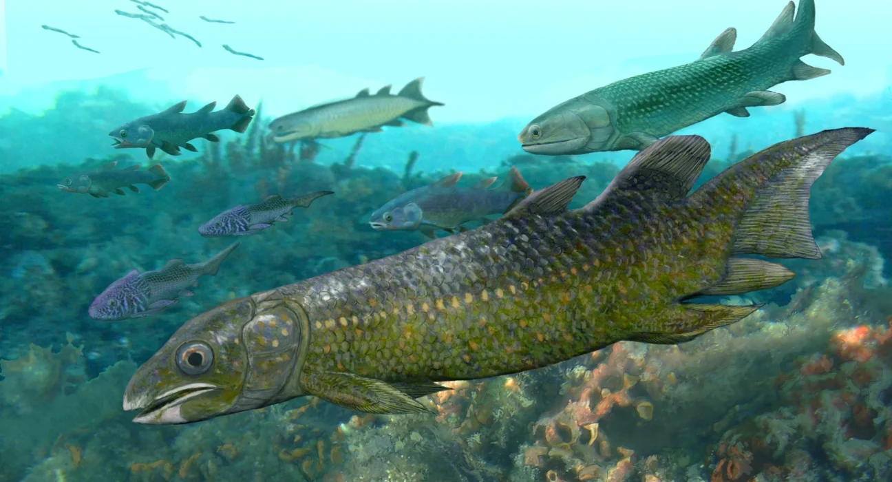 Des fossiles de poissons vieux de 400 millions d'années réécrivent l'histoire de la vie terrestre.