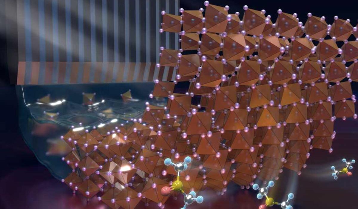 Des scientifiques corrigent une imperfection cachée des cellules solaires en pérovskite grâce à de minuscules graines cristallines.