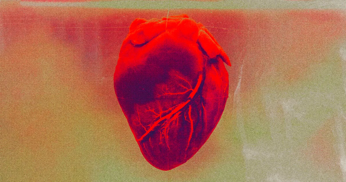 Étude : Le COVID-19 peut endommager les cellules cardiaques.
