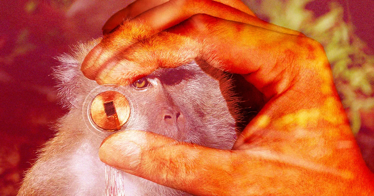 Expert : La nouvelle démonstration de Neuralink évoque des technologies des années 2000