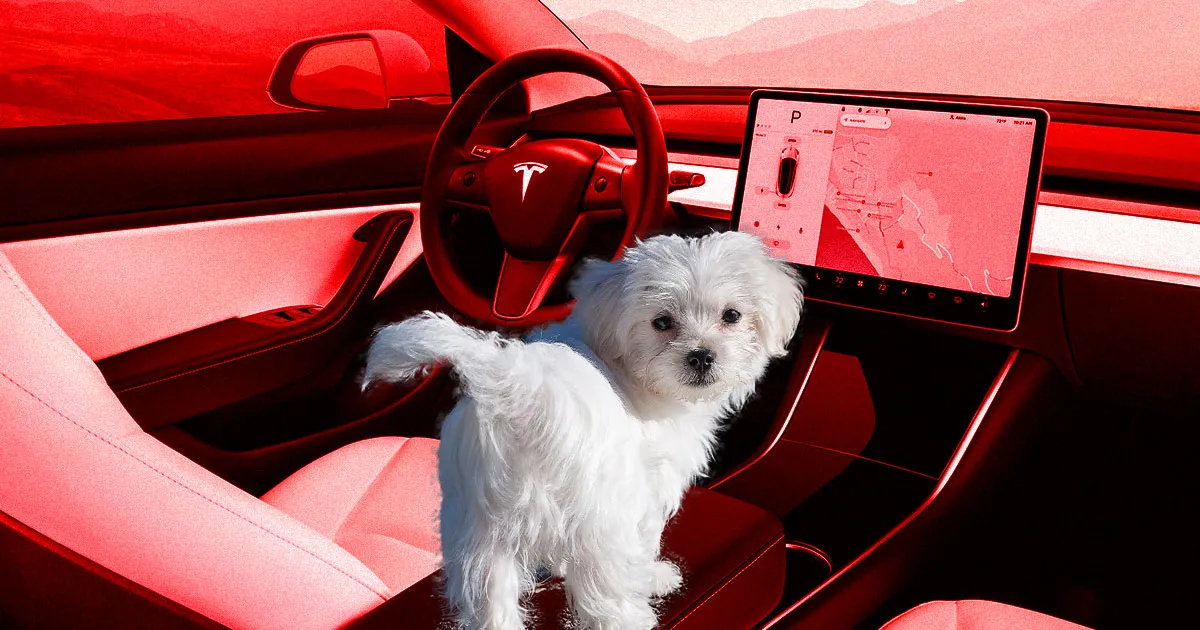 Le Nouveau Mode Canin de Tesla : Bien-être des Chiens Assuré avec Climatisation et Musique