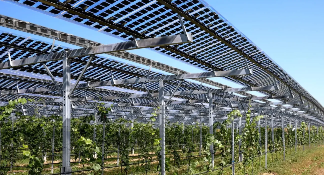 Les Avantages Surprenants de l'Agrivoltaïsme : Un Avenir Prometteur
