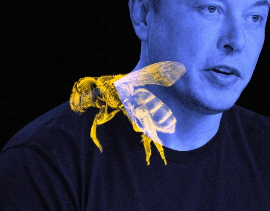 Les Fans d'Elon Musk Pensaient Que Ses Tweets Humoristiques Annonçaient un Nouveau Tesla