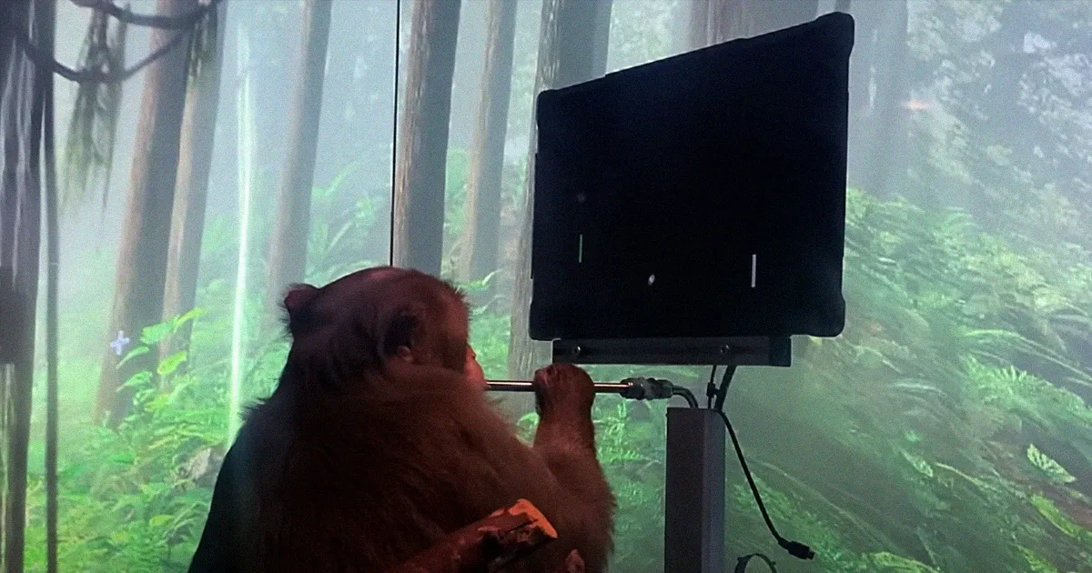 Neuralink Dévoile une Vidéo d'un Singe Jouant à Pong par la Pensée