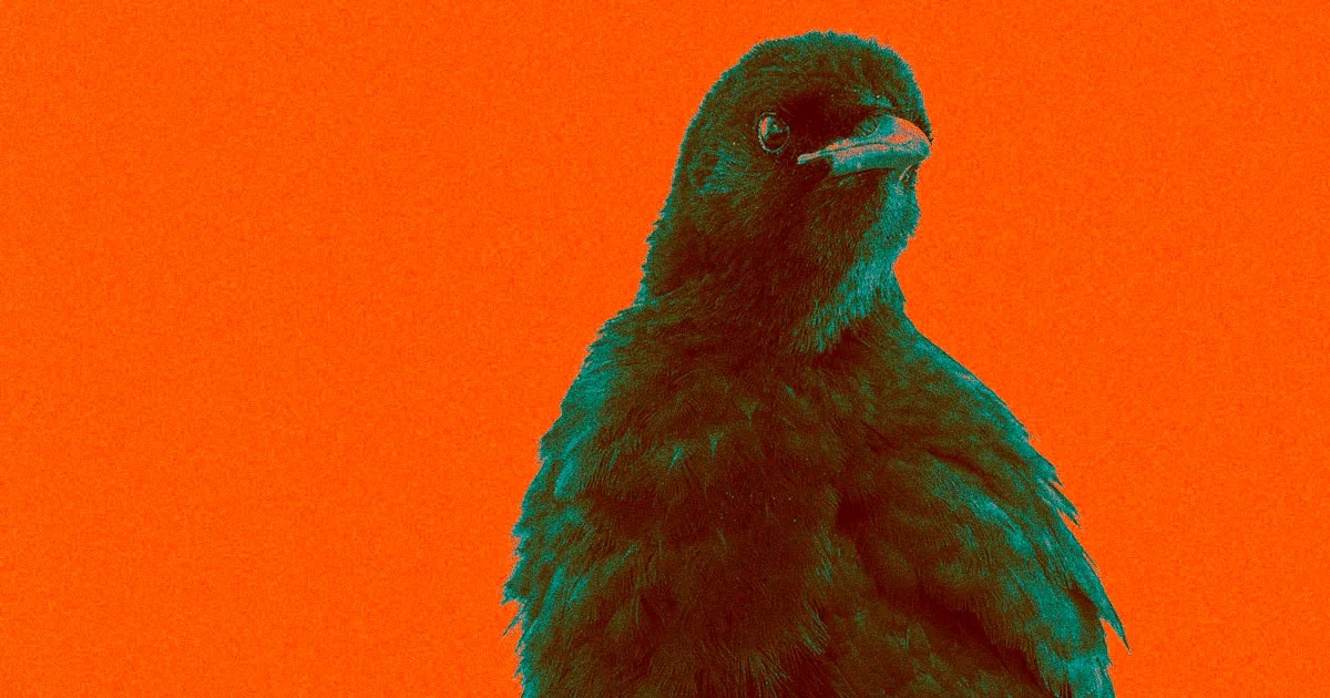 Nouveau Virus Grippal Aviaire en Russie : Alerte de l'OMS