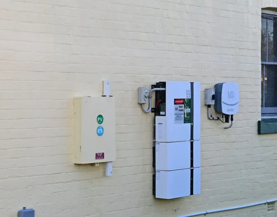 Propriétaires de panneaux solaires partagent leur expérience sur les batteries de secours : 'Les coupures de courant ne me dérangent même pas'.