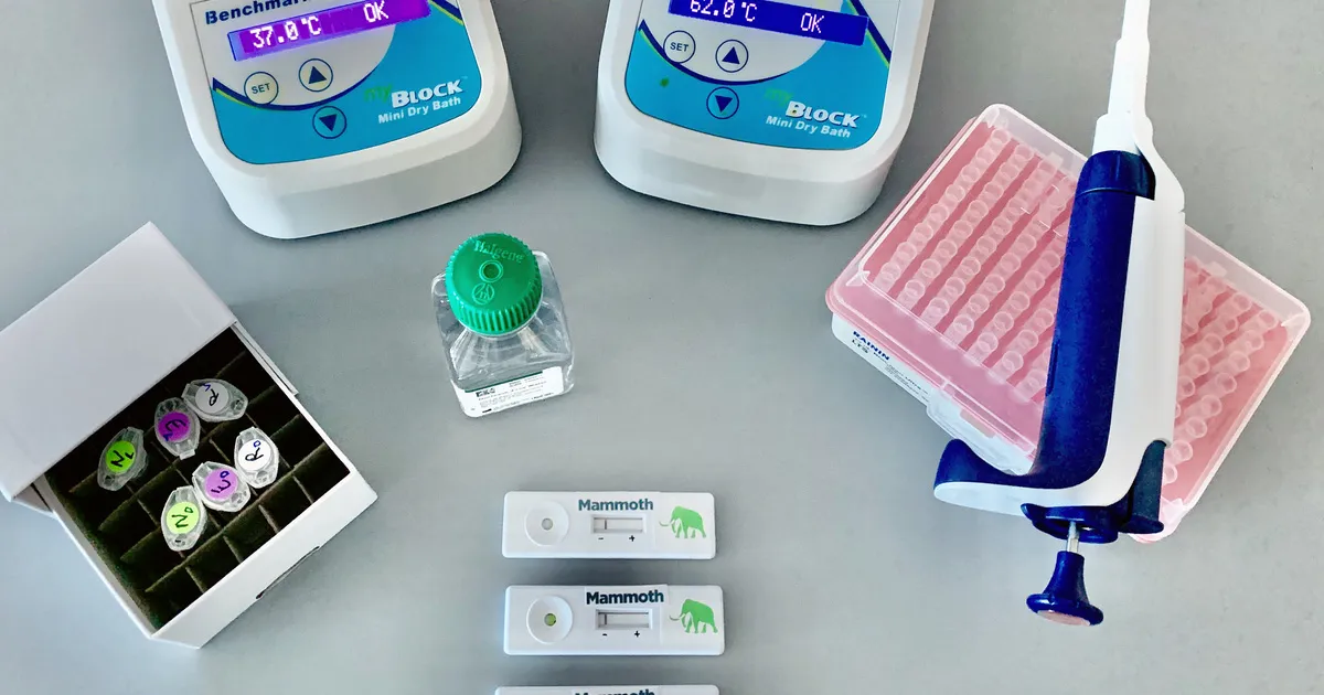 Tests COVID-19 Basés sur CRISPR : Résultats en 5 Minutes !