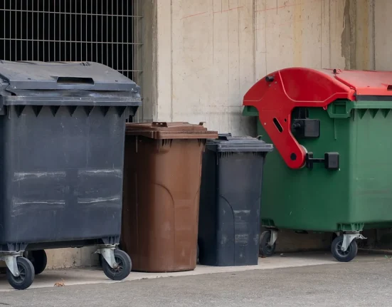 Un Chasseur de Trésors : Une Découverte Étonnante dans les Déchets