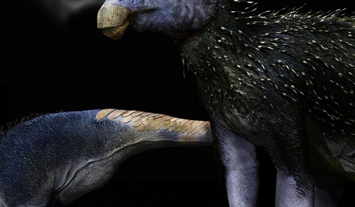 Un Dinosaure de 125 Millions d'Années Équipé de Pics comme un Porc-épic.