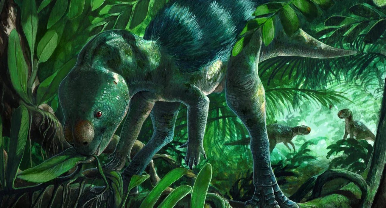 Un Petit Dinosaure au Crâne Étrange Réécrit l'Histoire de l'Évolution.
