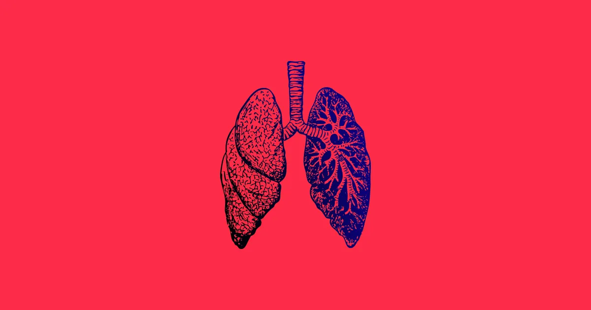 Un patient décède après une greffe de poumons infectés par le COVID