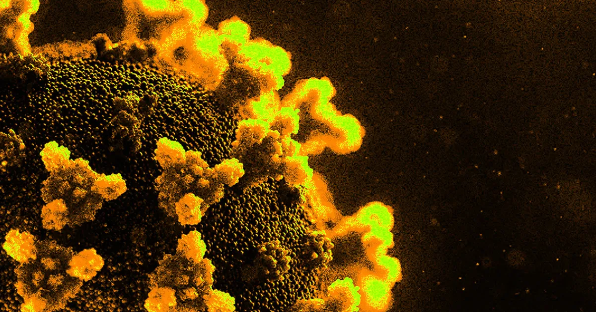 Une Nouvelle Épidémie de Coronavirus Éclate en Chine