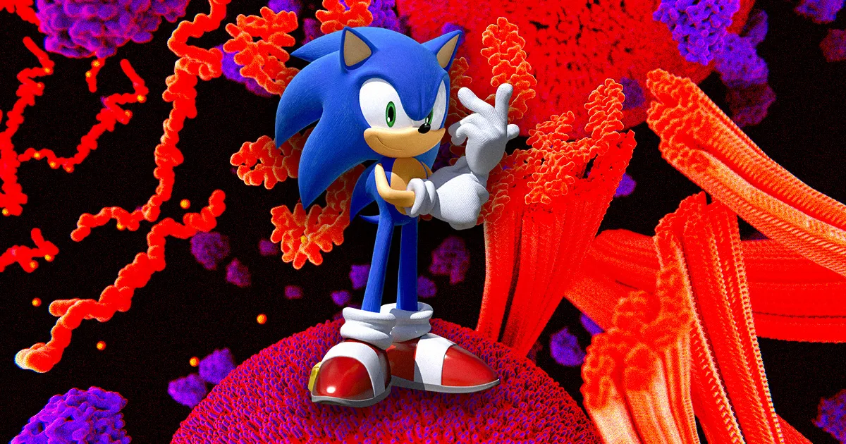 Une Protéine Cérébrale Inspirée de Sonic le Hérisson : Une Piste Prometteuse pour Traiter la Maladie de Parkinson.