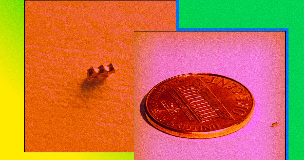 Une Startup Développe un Micro-Perceur Magnétique pour Explorer le Cerveau.