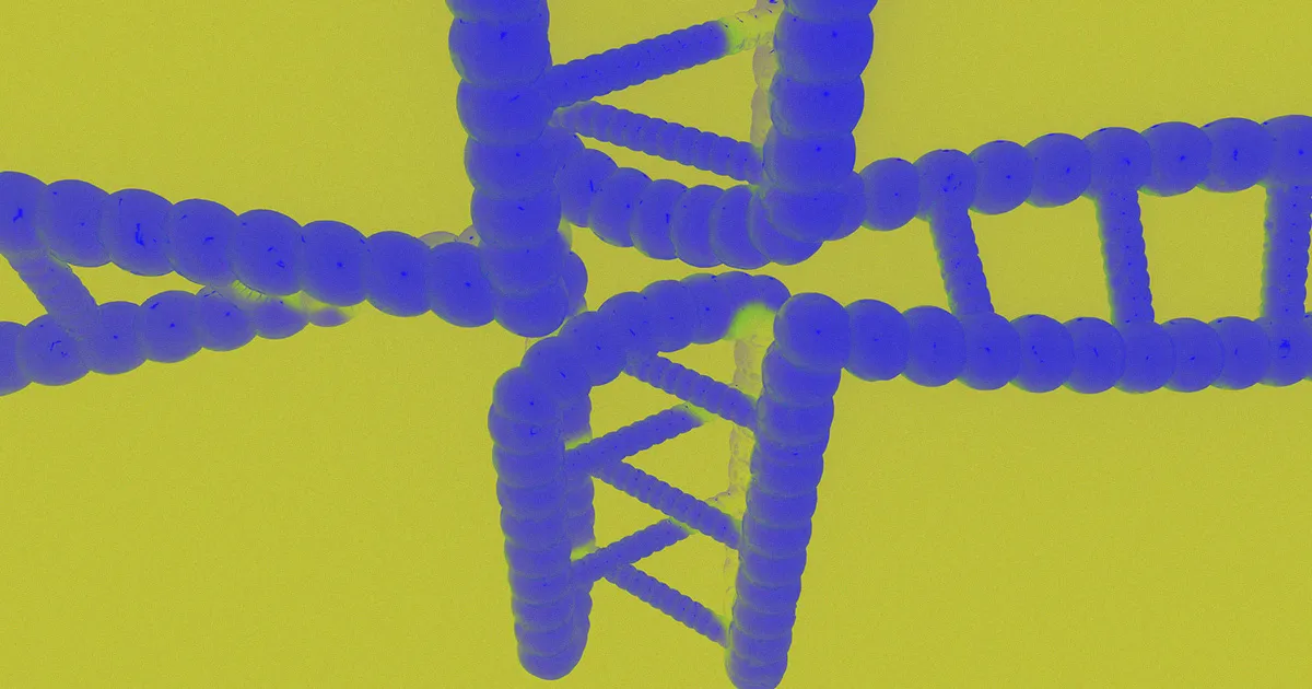 Une nouvelle thérapie génique inverse le vieillissement chez les souris.