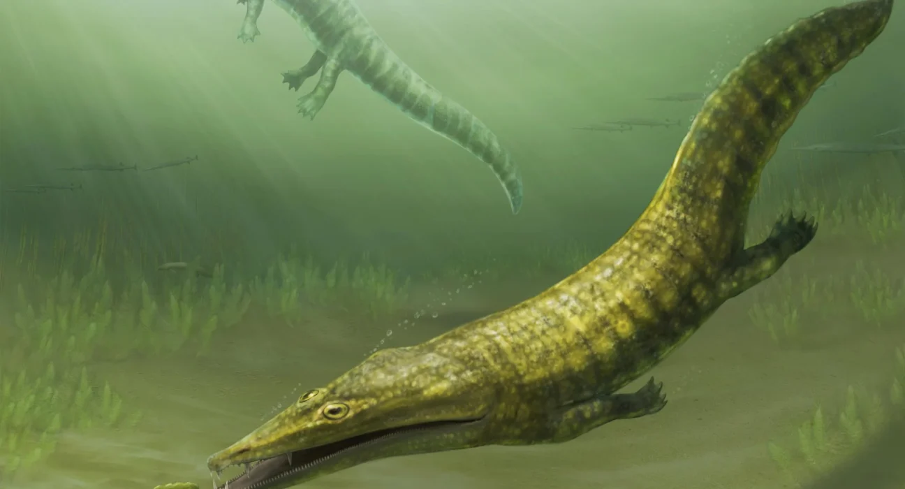 Après la Plus Grande Extinction de la Terre, Ces Monstres Marins Ont Conquis les Océans.