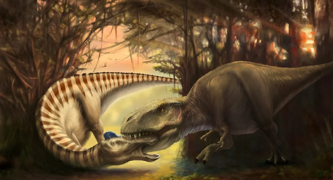 Découverte d'une Dent de Tyrannosaure Encastrée dans un Crâne de Dinosaure : Témoignage d'une Attaque Préhistorique Violente.