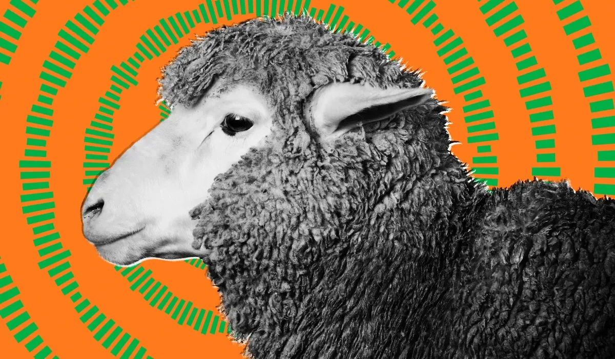 Des Lanceurs d'Alerte Affirment que l'Armée Américaine a Testé une Arme Liée au Syndrome de La Havane sur de Grands Mammifères