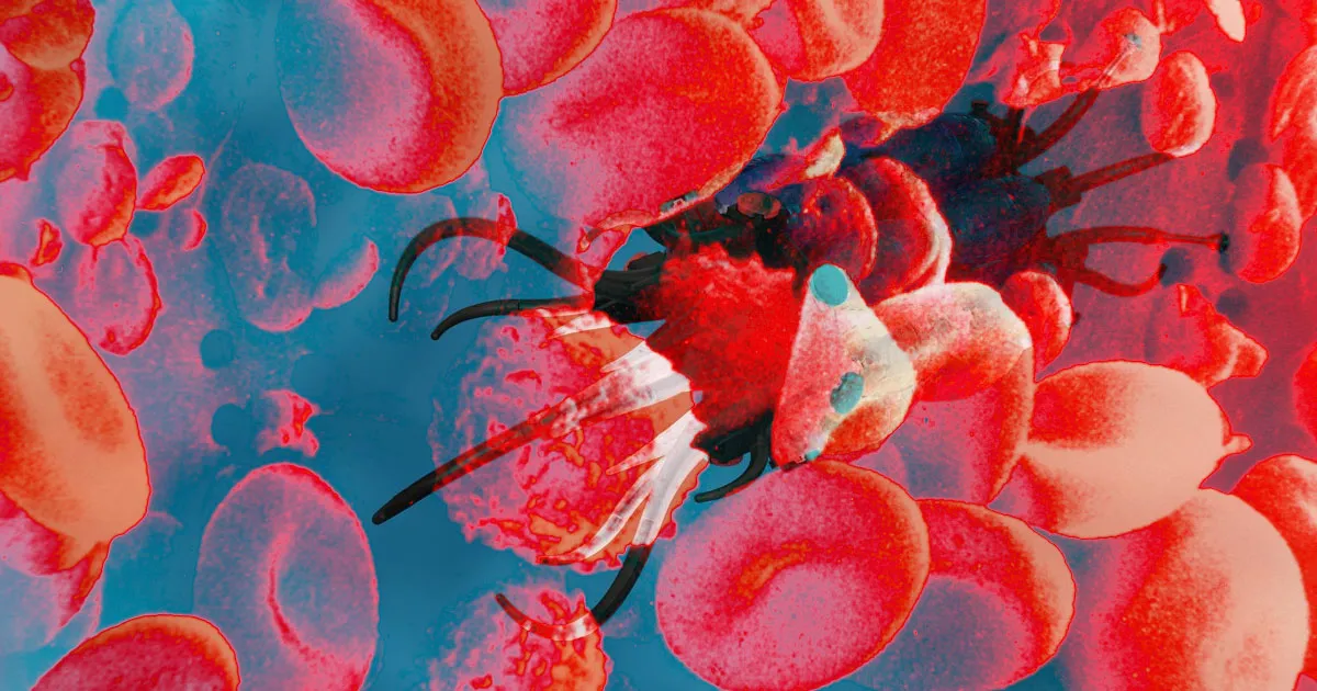 Des Nanorobots Chercheurs de Cancer Déguisés en Globules Rouges