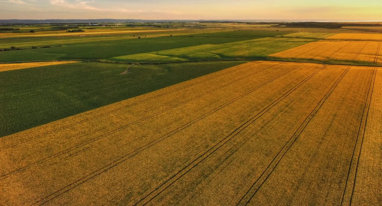 Des agriculteurs surveillent leurs cultures grâce aux satellites spatiaux