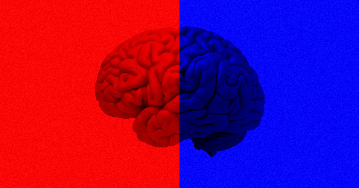 Des personnes avec une moitié de cerveau en moins : des résultats étonnants