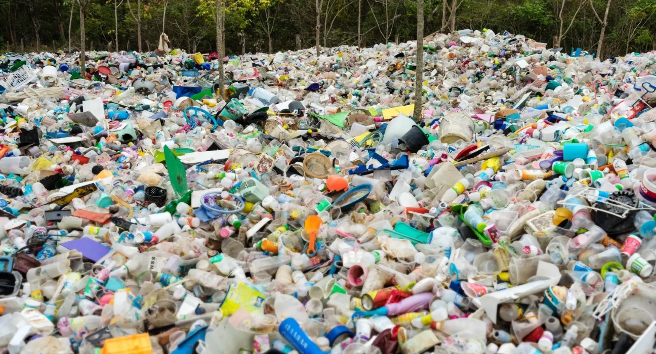 Des scientifiques inventent une « colle réversible » prometteuse pour révolutionner l'emballage : « Plus essentielle que jamais ».