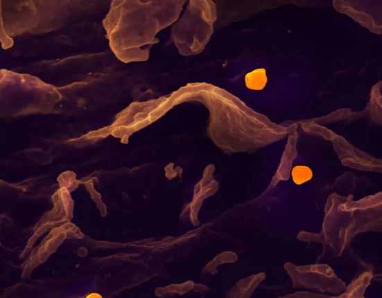 Fauci : Ce médicament contre la COVID pourrait vraiment faire la différence