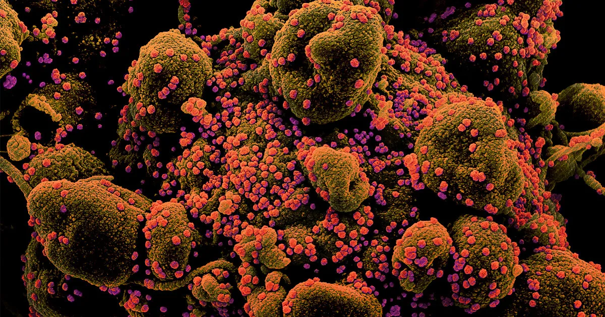 Les Confinements liés au Coronavirus : Un Rempart contre des Millions d'Infections