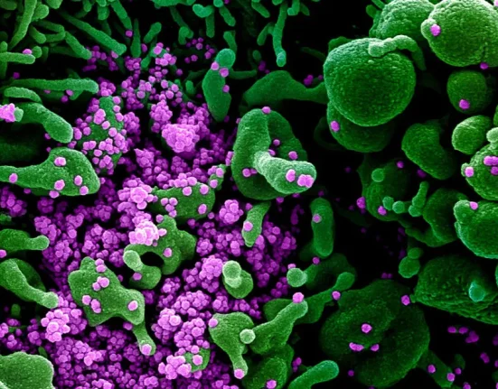 Les scientifiques alertent sur une souche plus contagieuse du coronavirus.