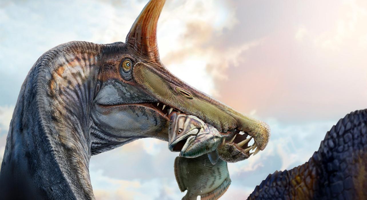 Nouvelle Découverte d'un Spinosaurus 'Hell Heron' dans le Sahara : Un Crête Géante Étonnante