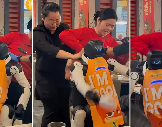 Robot en Folie dans un Restaurant Californien : Équipage Intervient Après Avoir Détruit la Vaisselle.