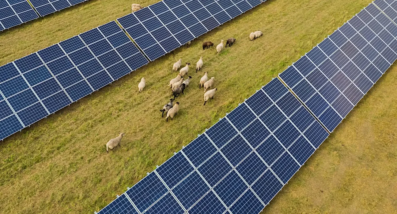 Un Agriculteur Encourage la Population à Adopter une Méthode Industrielle 'Supérieure' : 'Le Revenu est Bien Plus Élevé que ce que je Pourrais Jamais Gagner'