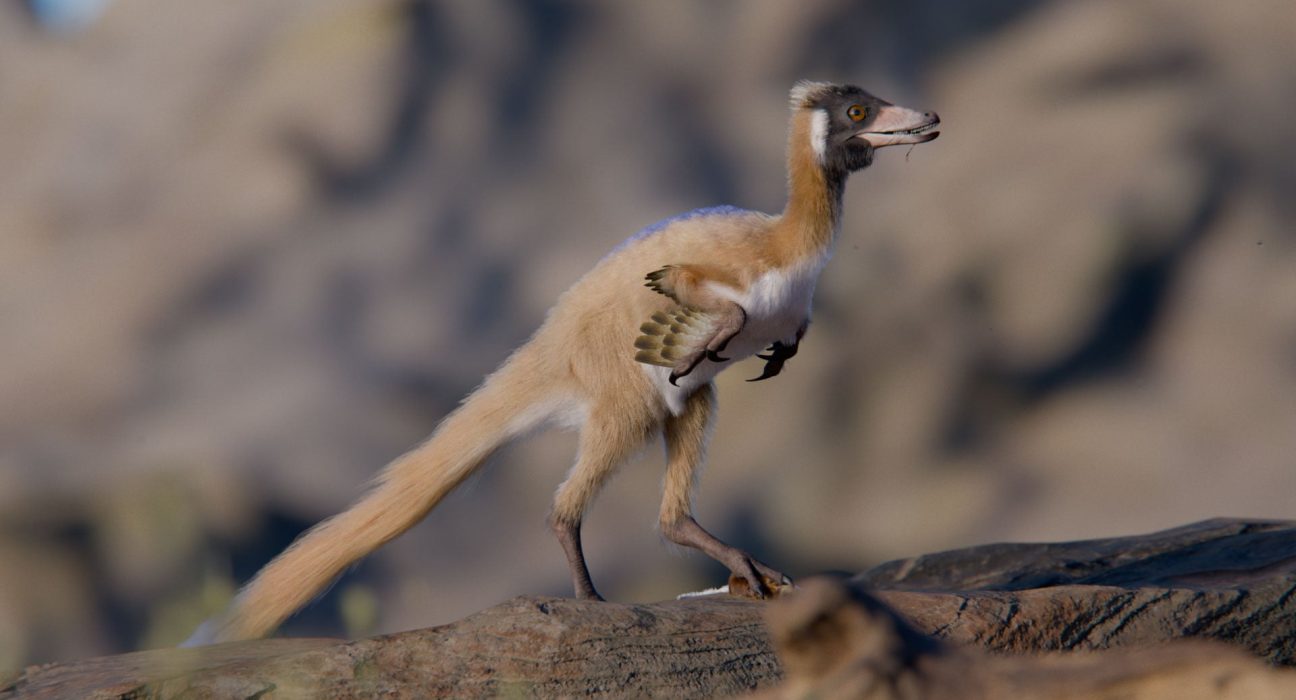 Un Fossile de Dinosaure Ancien de 90 Millions d'Années Redéfinit Notre Compréhension de l'Histoire.