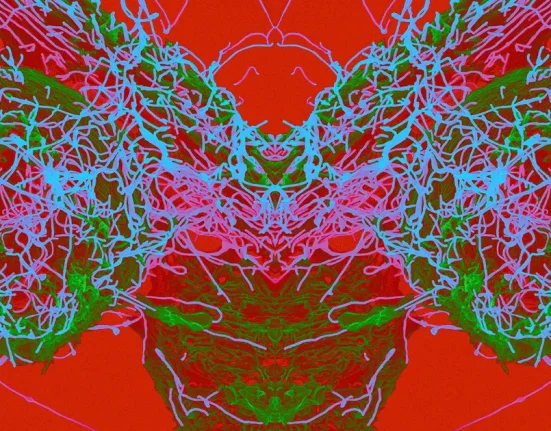 « Un Virus Mystérieux de Chine Atteint le Japon et la Thaïlande »